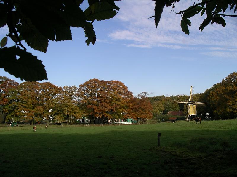 NOM 2008 045.jpg